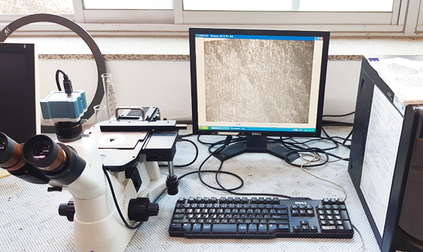 Grain size Microscope
